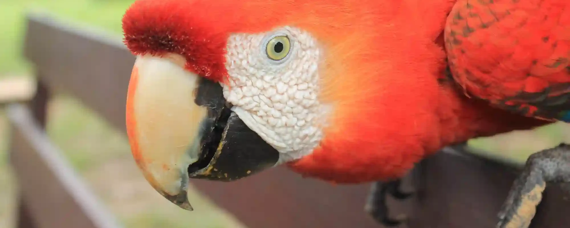 Tours en la Selva Peru