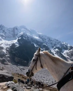 Caminata Salkantay, 4 días: sin entrada a Machu Picchu ni transporte de vuelta incluidos