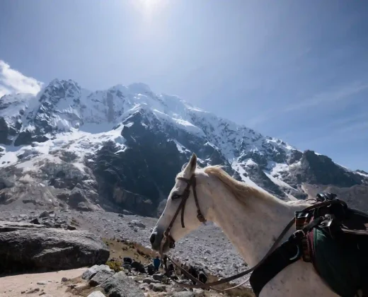 Caminata Salkantay, 4 días: sin entrada a Machu Picchu ni transporte de vuelta incluidos