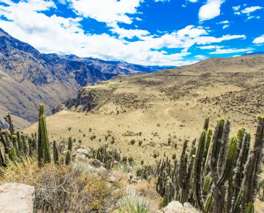 EXCURSIÓN DE DÍA COMPLETO AL CAÑÓN DEL COLCA