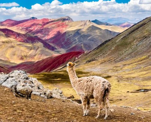 Excursión de un día a la Montaña Arcoíris de Palcoyo