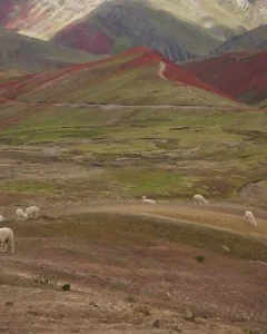 Excursión de un día a la Montaña Arcoíris de Palcoyo