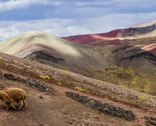 Tour Montaña de Colores mas Valle Rojo 1 dia