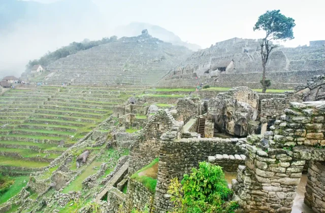 machu-picchu-landscape (3)_20211114_161622