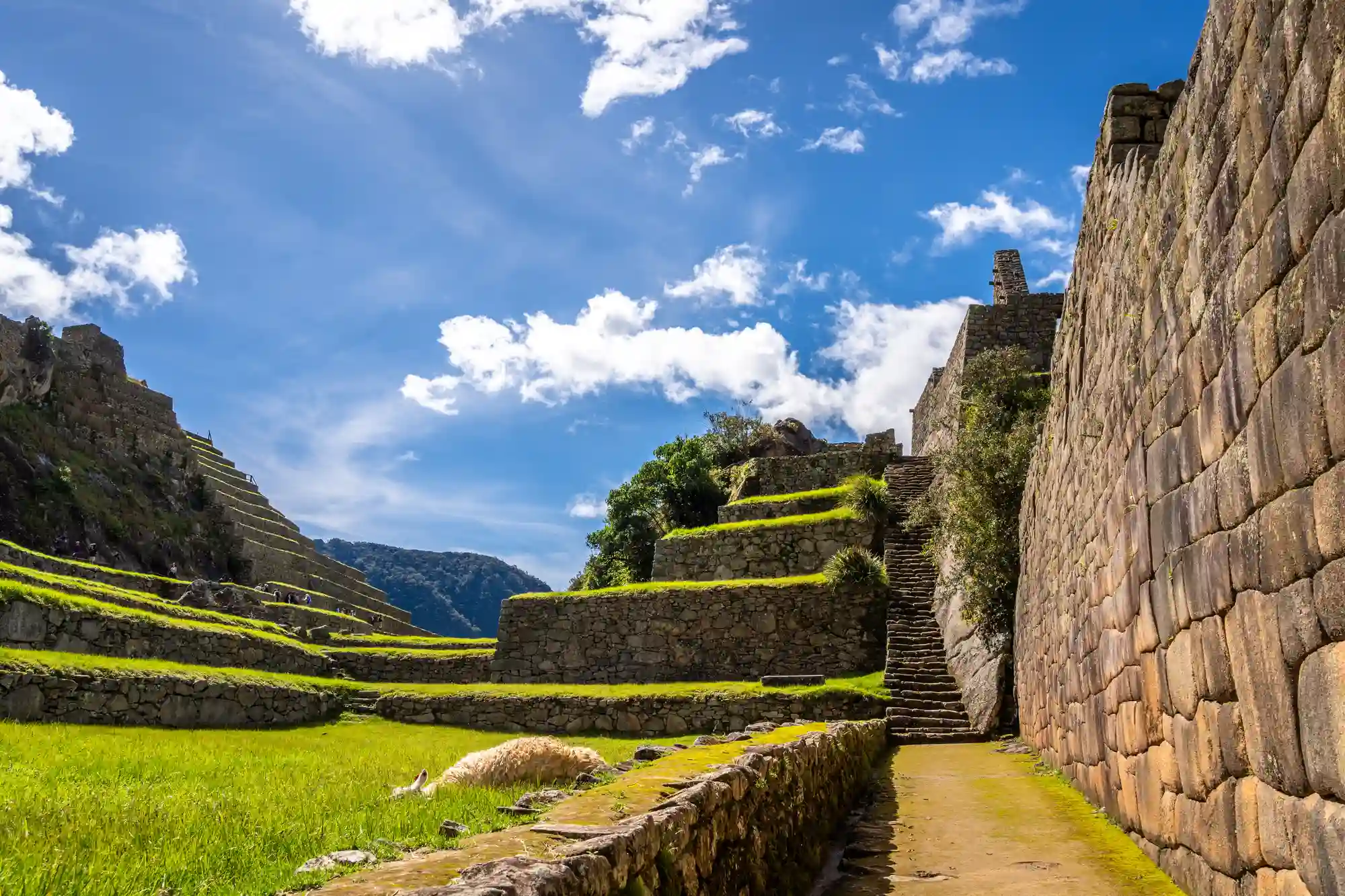 Movilidad reducida en Machu Picchu: preguntas honestas antes de comprar boleto